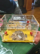 DIY acril nido de hormiga de granja plana con área de alimentación Ant House Pet Anthill taller con torre de agua humectante 12*15*7,5 cm