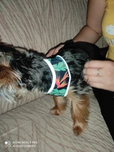 Arnés para perro o gato de nailon, arnés para perro o gato impreso, arneses para perros pequeños, chaleco para caminar para mascotas, correa para gatos, Bulldog Francés, Chihuahua, Yorkshire