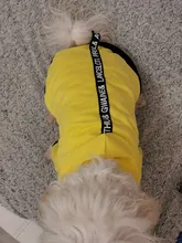 Puppy-Outfit Dogs-Clothing Chihuahua Dog Hoodie Pets Spring Small Fashion Medium