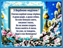 Cordones elásticos de zapatos para niños y adultos, agujetas de zapatos semicirculares para grandes y chicos, cordones de cierre de metal, disponibles en diferentes colores