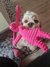 De pana de pana juguetes para perros pequeños perros grandes de forma de Animal felpa mascota cachorro chillón masticar juguete mordedor resistente accesorios de mascotas suministros