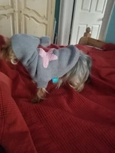 Sweater Puppy-Dog French Bulldog PETCIRCLE Teddy Chihuahau Winter Autumn Starfish Nordic