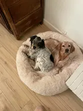 Bastante y mejor 18 colores largo perro de peluche 2017 Top papá Oso Polar animal camas calmante cama Hondenmand cachorro cojín para mascotas de invierno sofá cálido perro camas, perrera