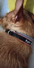 Airuidog-Collar de nailon bordado personalizado para perros pequeños, medianos y grandes, ajustable