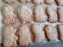 Truest-cortador de pata de Paw para pastel, conjunto de cortadores de galletas, molde de plástico 3D para hornear, herramientas de decoración