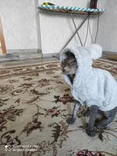 Jacket Clothing Puppy-Clothes Pet-Cat-Costume Dogs Soft-Fleece Chihuahua Winter For Yorkshire