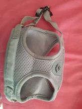 Dog Cat Harness Reflective Vest Pet Chest Strap Mesh Breathable Dog Harness And Walking