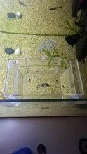 Caja de aislamiento de cría de pecera de acrílico transparente, soporte para incubadora de acuario