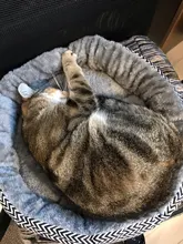 pawstrip Soft Plush Winter Dog Bed Round Cat Bed Warm Puppy Cushion Chihuahua Teddy Small