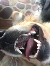 Pulidor de capó de microfibra, almohadilla pulidora para el cuidado de la pintura del coche, 5-6 , 7-8, 9-10 , 3 tamaños