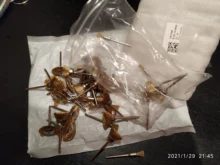 Wheel-Brushes Wire Rotary-Tools Polish Brass Clean PC for Accessories 45