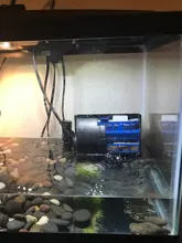 Clip-Light Basking-Lamp Lizard Turtle Pet-Heating Snake Reptile-Uva UVB Tortoise Animal