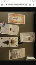 El salvaje desconocido Tarot cubierta 78 tarjetas y guía Kim Krans