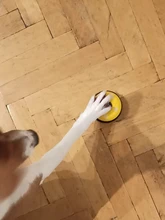 Bell-Toys Sound-Toy Puzzle Puppy Intelligence Food-Feed Cat Training Kitten Squeak Toy-Development