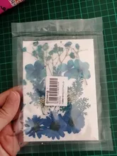 1 paquete Real secada de La Flor seca de las plantas para bricolaje molde Molde de resina rellenos de resina colgante collar joyería de uñas de arte UV Expoxy flor