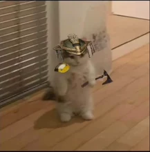 Collar de cadena con colgante de corazón de amor para hombre y mujer, 2 uds., regalo de San Valentín, 2021