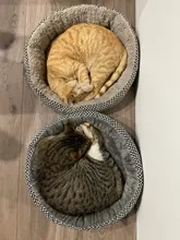 pawstrip Soft Plush Winter Dog Bed Round Cat Bed Warm Puppy Cushion Chihuahua Teddy Small