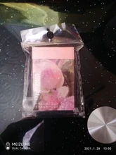 50 hojas de sol pegatinas de etiqueta de palo de Scrapbooking diario álbum papelería pintura flor etiqueta engomada Accesorios