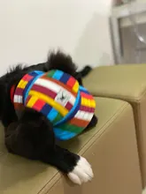 Dog-Cap Headdress-Accessories Puppy Beach-Visor Ear-Holes Dogs Small with for Canvas-Cap