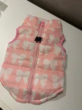 Ropas impermeables para perro, chaqueta de invierno para mascotas, chaleco de camuflaje cálido de algodón para perros pequeños, abrigo para cachorro, ropa de Bulldog Francés, traje para gato