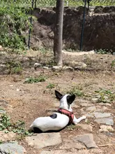 Empuñadura de recortador, nueva maquinilla de cortar el pelo de barbero, goma antideslizante, diseño antideslizante, para peluquero, anillos decorativos de silicona