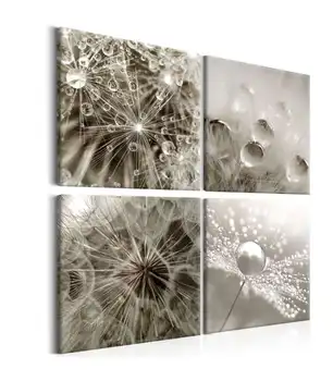 Picture-gray Dandelion
Picture-gray Dandelion