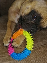 Anillo de espina Multicolor de goma TPR, juguete para mascotas, gato y perro, calidad Molar, juguete ambiental para gatos y perros