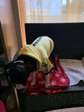 Puppy-Outfit Dogs-Clothing Chihuahua Dog Hoodie Pets Spring Small Fashion Medium