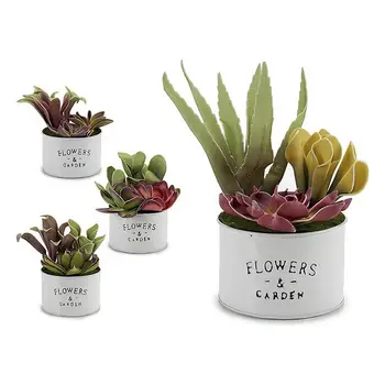 Plant pot Ibergarden White metal (13,5 x 9 x 13,5 cm)
Plant pot Ibergarden White metal (13,5 x 9 x 13,5 cm)