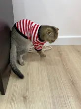 T-Shirt Vest Dogs Thin Striped Pet Small Soft for And Medium Dog-Cloth Round-Neck