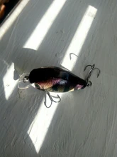 Crank Floating Trout Wobbler Fishing-Tackle Hard-Bait Bass Plastic Artificial Pike Japan