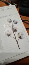 Pegatina decorativa Vintage para diario, pegatinas para álbum de recortes con flores y plantas de otoño, pegatinas para álbum de recortes, papelería japonesa