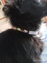 Puppy-Dog-Cat-Collar Engraved Bling Custom Personalized Pet-Dog Dogs Chihuahua Collars