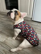 Chaleco para perros, ropa de dibujos animados, chaleco con Calavera, camiseta para perros y gatos, cachorro suave, ropa para perros, camiseta chaleco 2XS-5XL 25Q