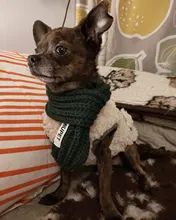 Scarf Jacket Dogs French Bulldog Winter Plush-Coat Pet-Dog Cotton Warm Thick for Puppy-Ropa-Perro