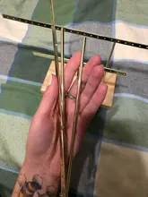 Colgador organizador de Estante de presentación de joyería para árbol, estante de Metal para sujetar, joyería de mujer, pendientes, anillos, collares, pendientes, pendientes