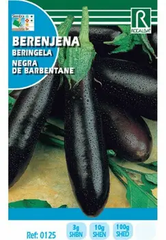 Semence for planting vegetable eggplant's BLACK BARBENTANE
Semence for planting vegetable eggplant's BLACK BARBENTANE