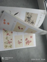 My first-Libro de pintura tradicional china para adultos, principiantes, aprendizaje de líneas, materiales de arte