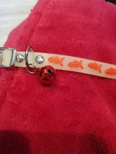 Collares brillantes con campanas para mascotas, brillo nocturno, luz para gatos, collar luminoso