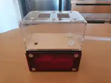 Nido de hormigas de hormigón, granja independiente de áreas activas y nidos para colonias medianas o grandes