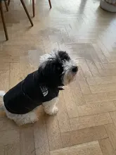 Dog Coat Jacket Pet-Dog-Clothes Down French-Bulldog Chihuahua Winter Fashion Small Medium-Sized