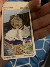 Board-Game Oracle-Cards Deck Tarot Astrology Pagan Cats Party Family Divination of Full-English