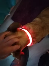Cheervivi-Collar de nailon con luz LED ajustable para mascotas, Collar con brillo para perro, suministros para perro, venta al por mayor