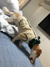 Scarf Jacket Dogs French Bulldog Winter Plush-Coat Pet-Dog Cotton Warm Thick for Puppy-Ropa-Perro