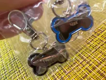 Etiquetas de identificación del perro de Mascota, accesorios de Collar de gato, decoración para mascotas, etiqueta de identificación para perros, collares de acero inoxidable, etiqueta de gato personalizada sin etiqueta, grabado