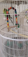 Wooden Parrot Swing Toy Bird Cage Accessories Bird Stand Rack Hanging Perch For Bird Parrot Swing Toy with Colorful Beads Bells