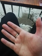 Modyle-anillos de escorpión estilo gótico Punk para hombre, anillos Retro con diseño de escorpión, joyería