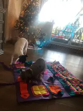 Alfombrilla de entrenamiento para perros y mascotas, manta de olfting, almohadillas de lana desmontables, esterilla para perros, alivia el estrés, rompecabezas, juguete para mascotas, almohadilla para la nariz