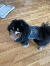 Chaleco vaquero de primavera para perros pequeños, ropa de Tzu para perros Yorkshire Terrier, ropa estilo vaquero para cachorros, chaqueta para Chihuahua, ropa para gatos