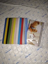 Puppy Collars Pet-Supplies Kitten for Dogs Goods 12pcs/Lot Cat-Animals Identification